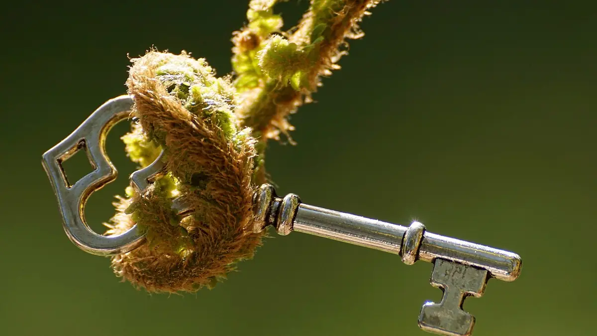 Silver key with a heart-shaped bow hanging from a curled fern frond