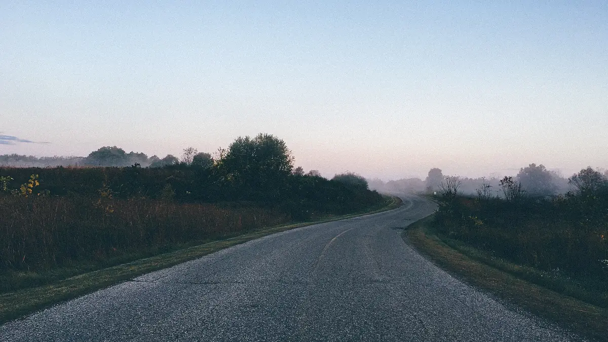 Country road curving past fields and trees in early morning mist