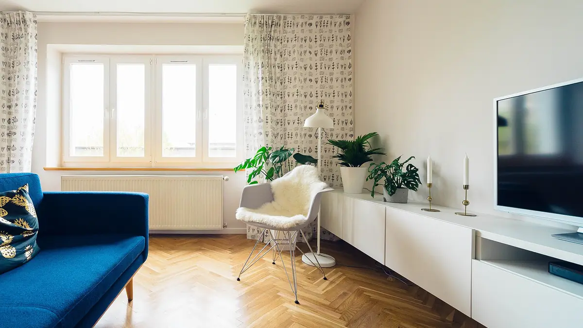 Bright, tidy living room with a blue sofa, houseplants and herringbone wood floor