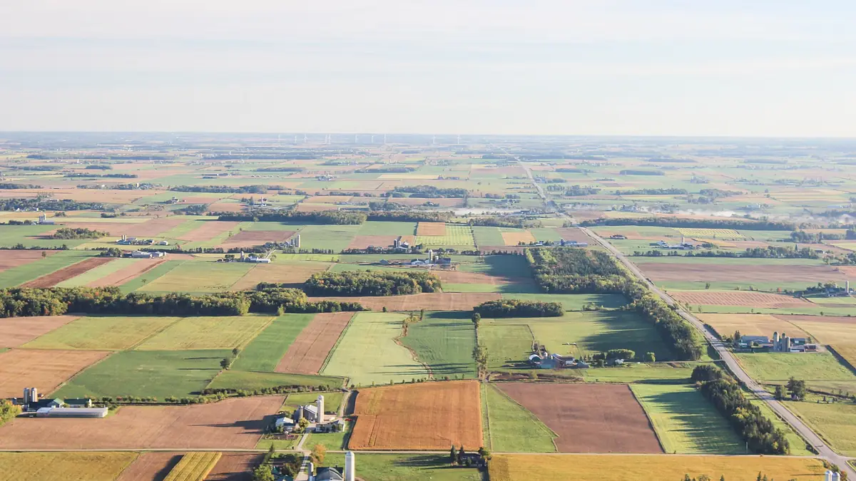 Aerial view of a patchwork of farm fields, farmsteads and a straight country road