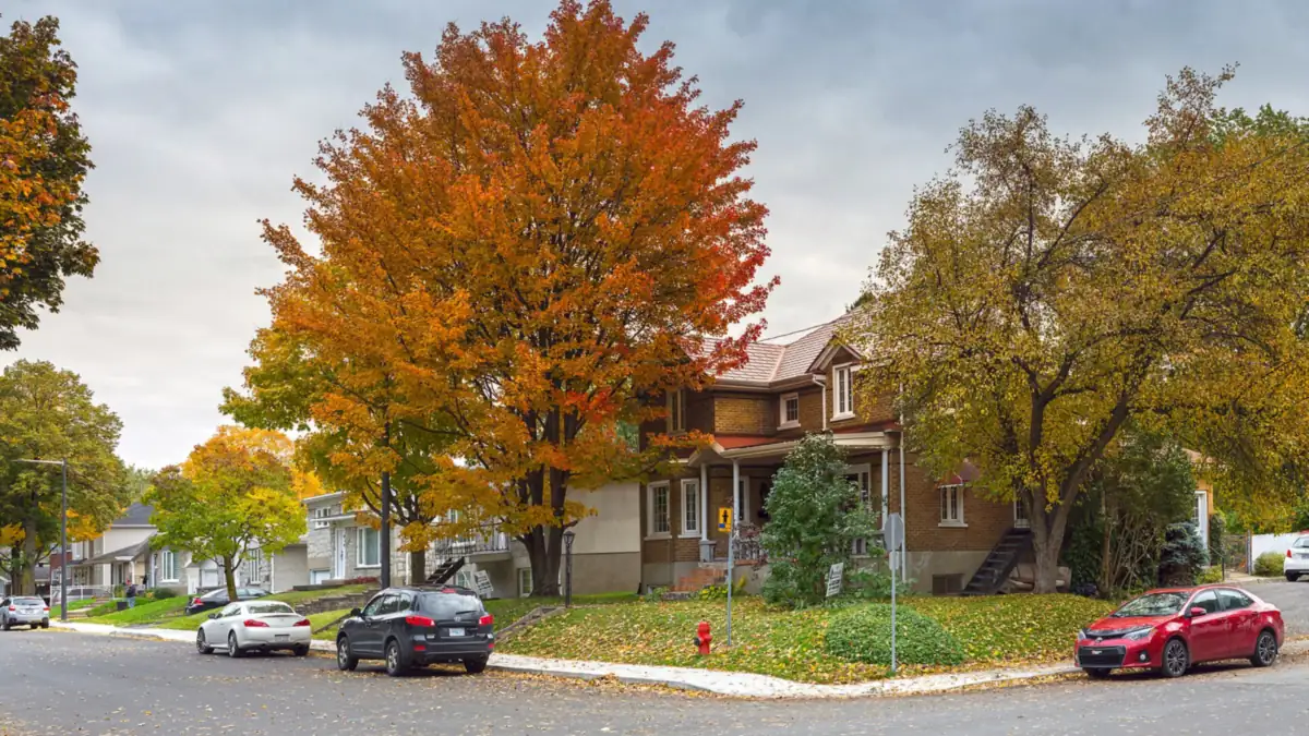 Brick house on a residential street corner beneath orange and yellow autumn trees